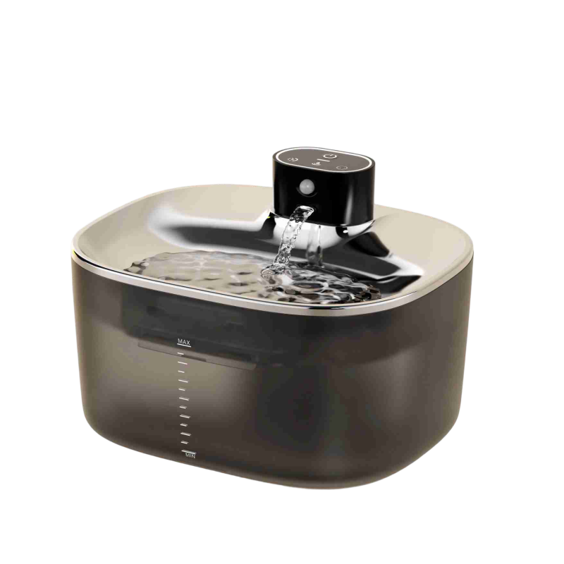 paw water-fountain paw water-fountain